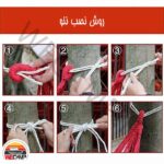 ننو کتان رنگی - Image 7