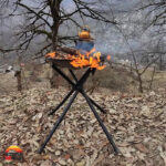 باربیکیو سفری پارمیس 412