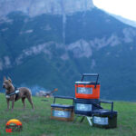 کول باکس 15 لیتر لایف کمپ