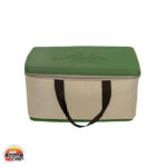 بخاری درجا دراگون D11