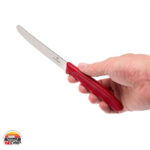 ست 3 عددی چاقو VICTORINOX کد 6.7111.3 - Image 3