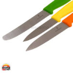 ست 3 عددی چاقو VICTORINOX کد 6.7116.31G - Image 3