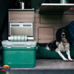 کول باکس استنلی مدل OUTDOOR COOLER حجم 15 لیتر - Image 10