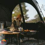 سایبان اتوماتیک نیچرهایک CNK230WS014