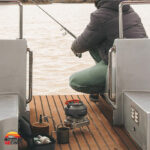 اجاق گاز دوکاره فایرمپل SUNFLOWER