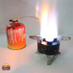 سرشعله برگ B-16