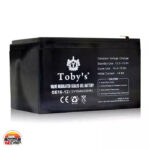 پاوراستیشن 12 ولت توبیز BTY-12