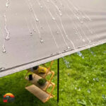 تارپ بلک دیر BD5010