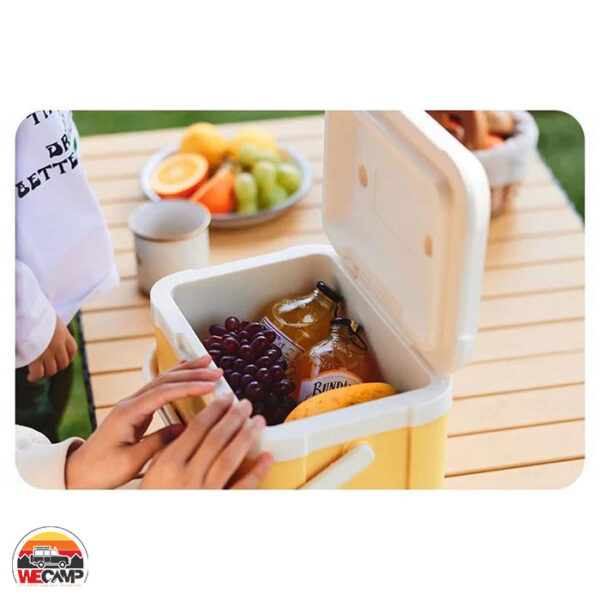 کول باکس 5 لیتری نیچرهایک CNK2450CF012