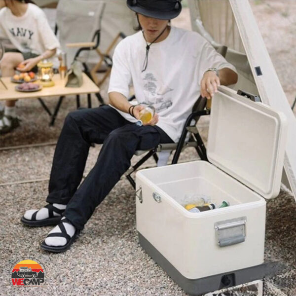 کول باکس 29 لیتری نیچرهایک CNH22SN005